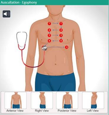 Auscultation Egophony