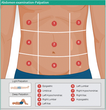 Abdomen Examination- Palpation